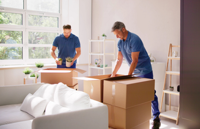 Packers and Movers