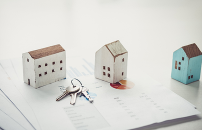 Real Estate Contractor